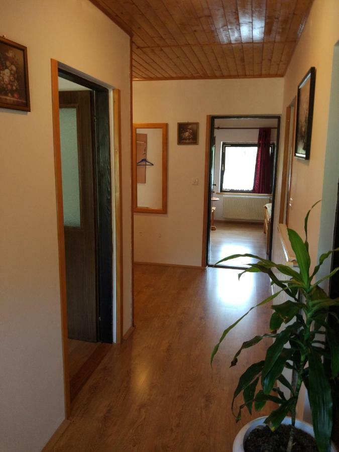Apartmán Jelena Seliste Dreznicko